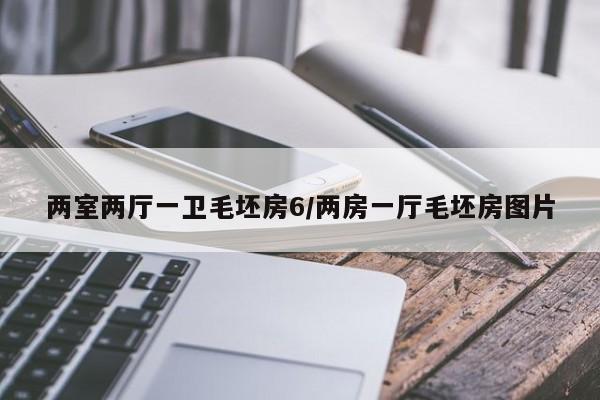 两室两厅一卫毛坯房6/两房一厅毛坯房图片